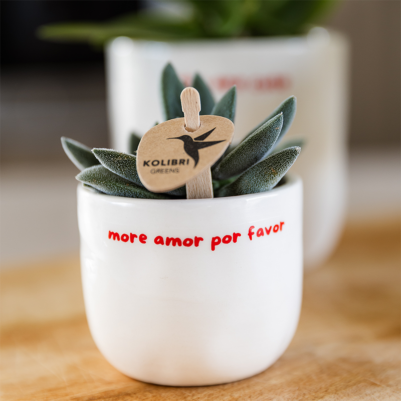 Kolibri Home | To the moon and back sierpot - Ø9cm by Kolibri Company