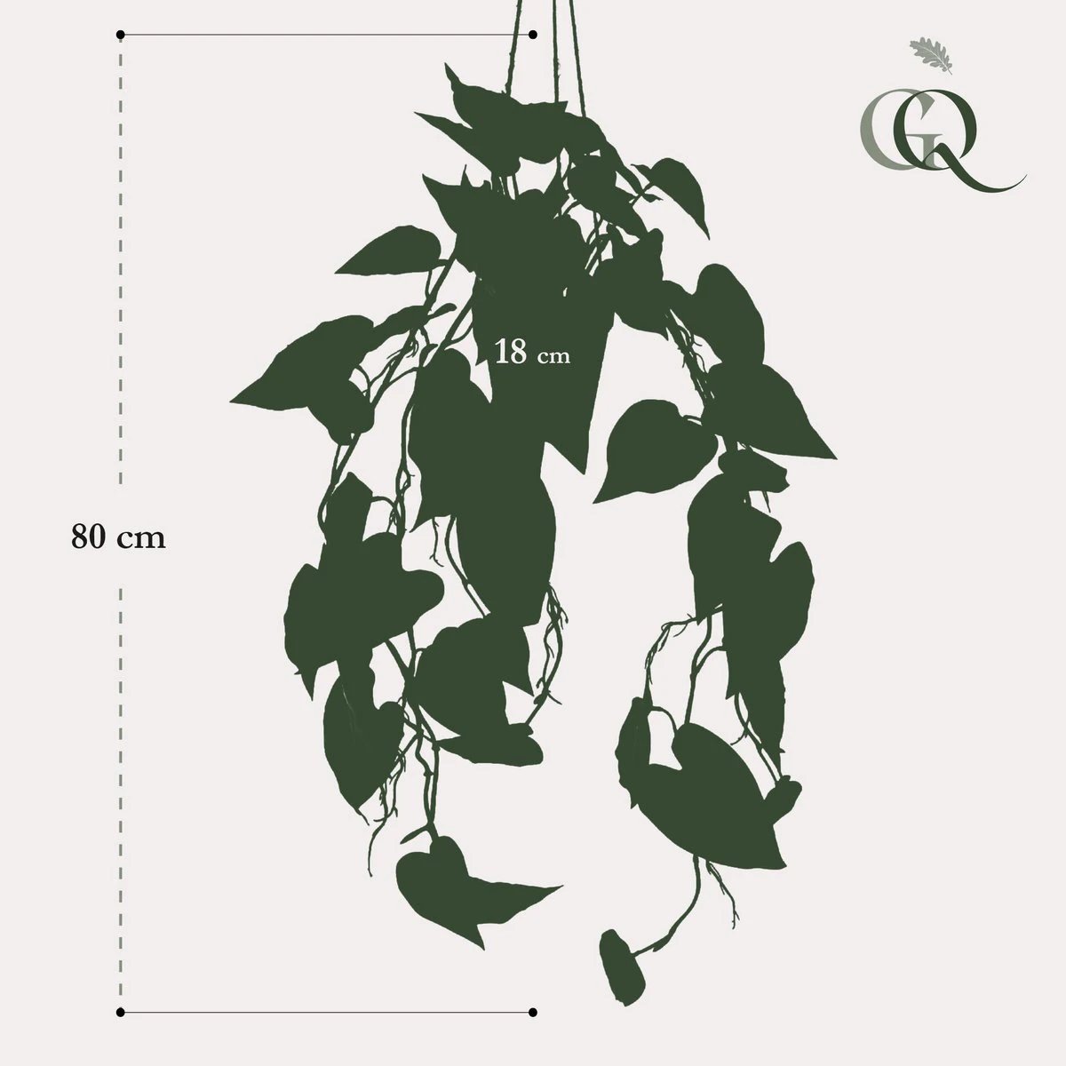 Art Plant - Philodendron Scandens - Climate Boomliefhebber - 80 cm by Green boutiQ