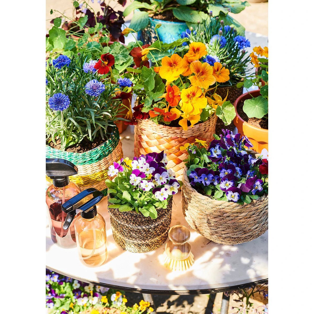 Plant basket Jorck Light brown by Mica Decorations