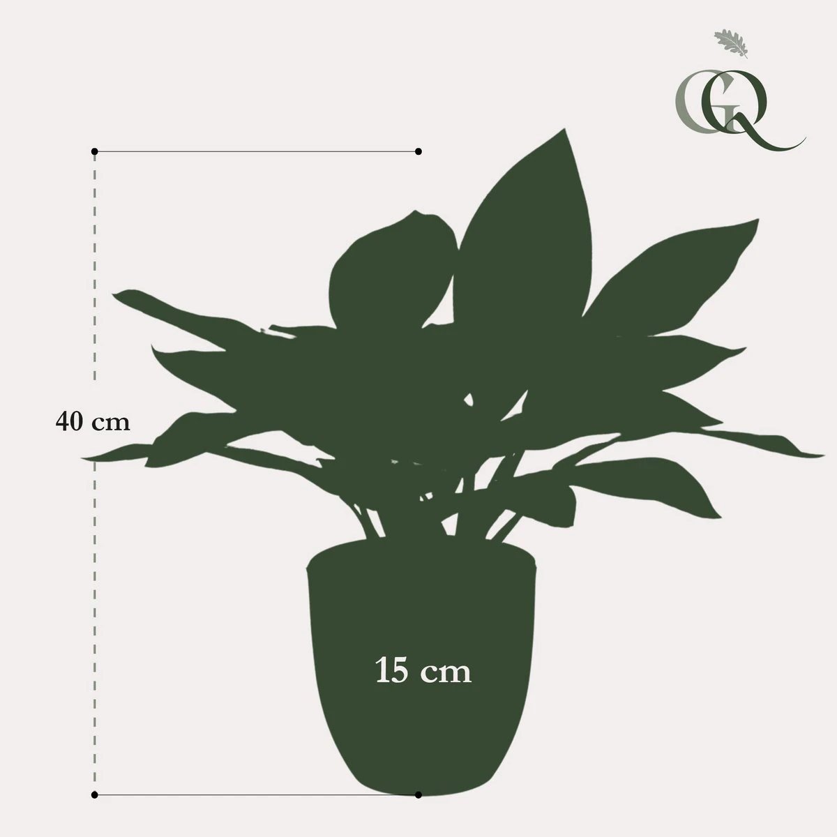 Kunstpflanze – Croton Codiaeum – Wunderstrauch – 38 cm von Green boutiQ