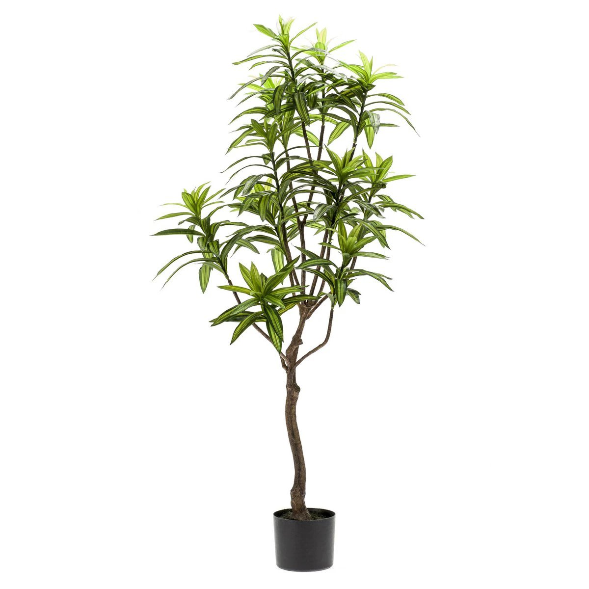 Art plant - Dracaena - Dragon tree - 130 cm by Green boutiQ