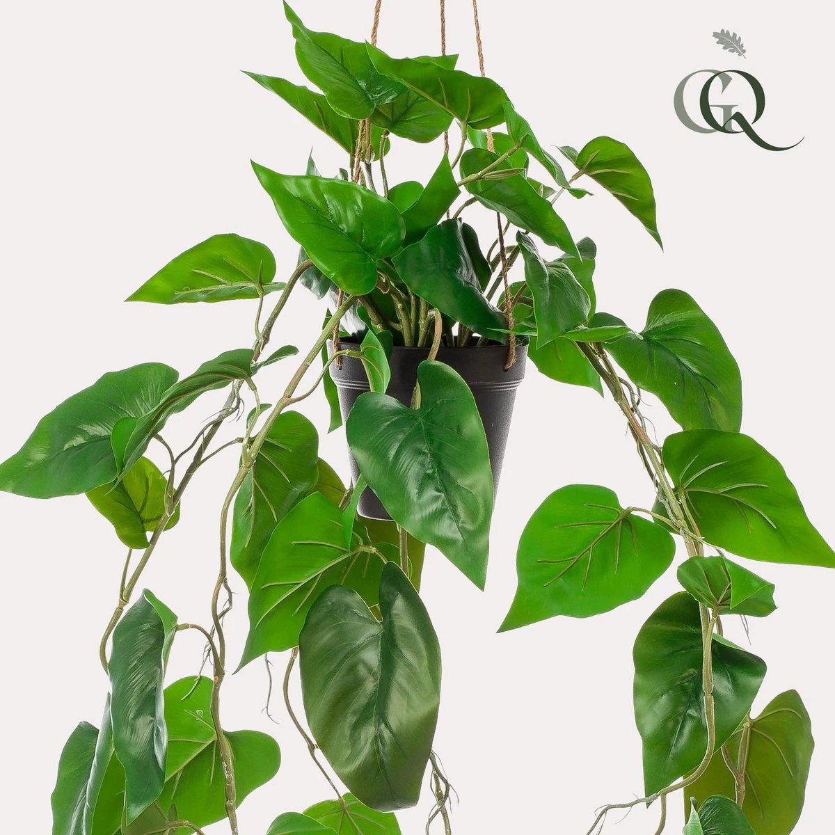 Art Plant - Philodendron Scandens - Climate Boomliefhebber - 80 cm by Green boutiQ