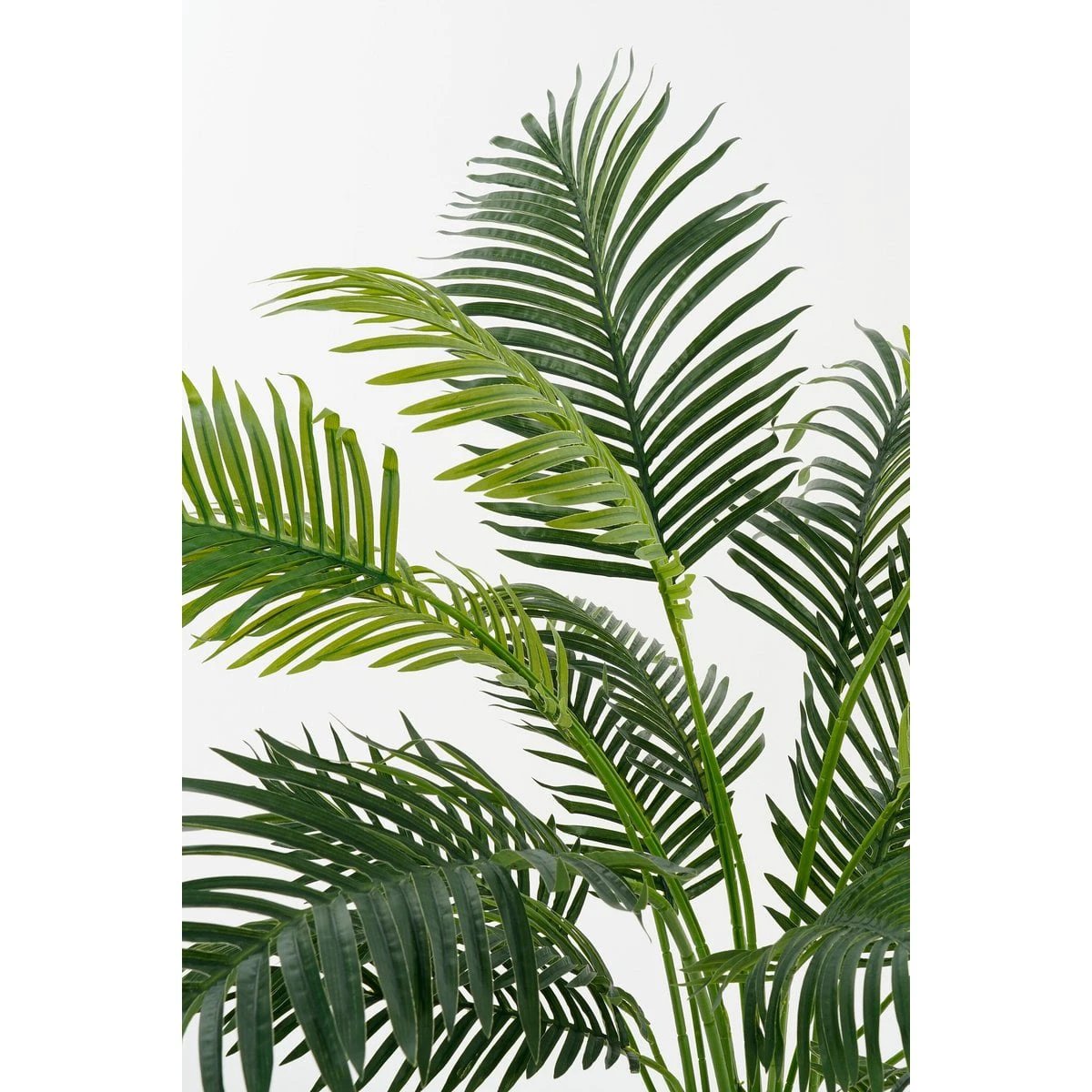 Artificial plant Areca palm Green by Mica Decorations