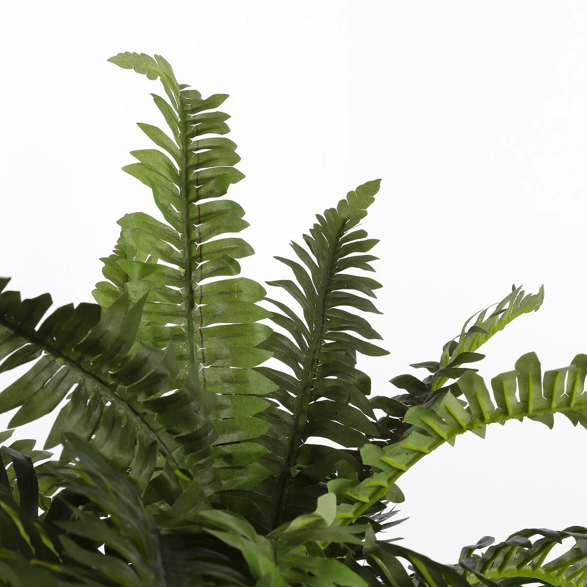Artificial plant Fern Green by Mica Decorations