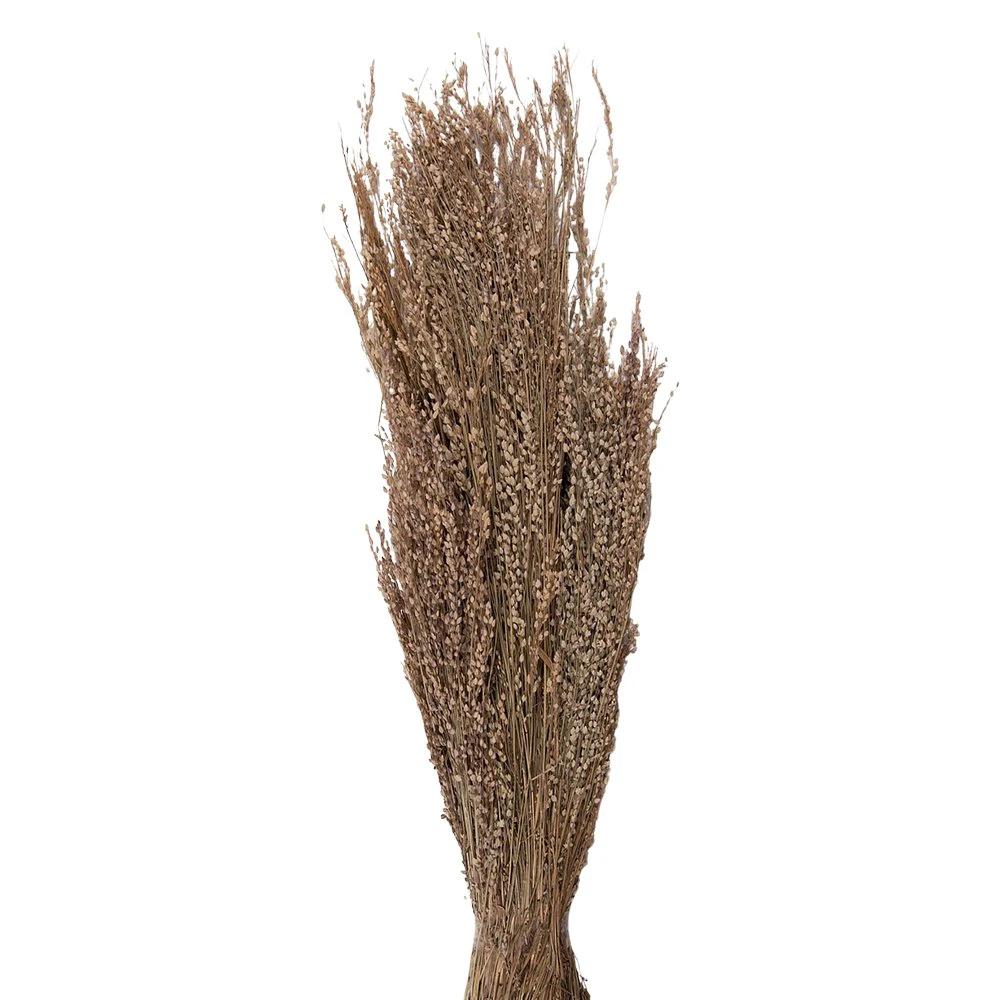 Droogbloemen 55 cm (100 gr) by Clayre & Eef.
