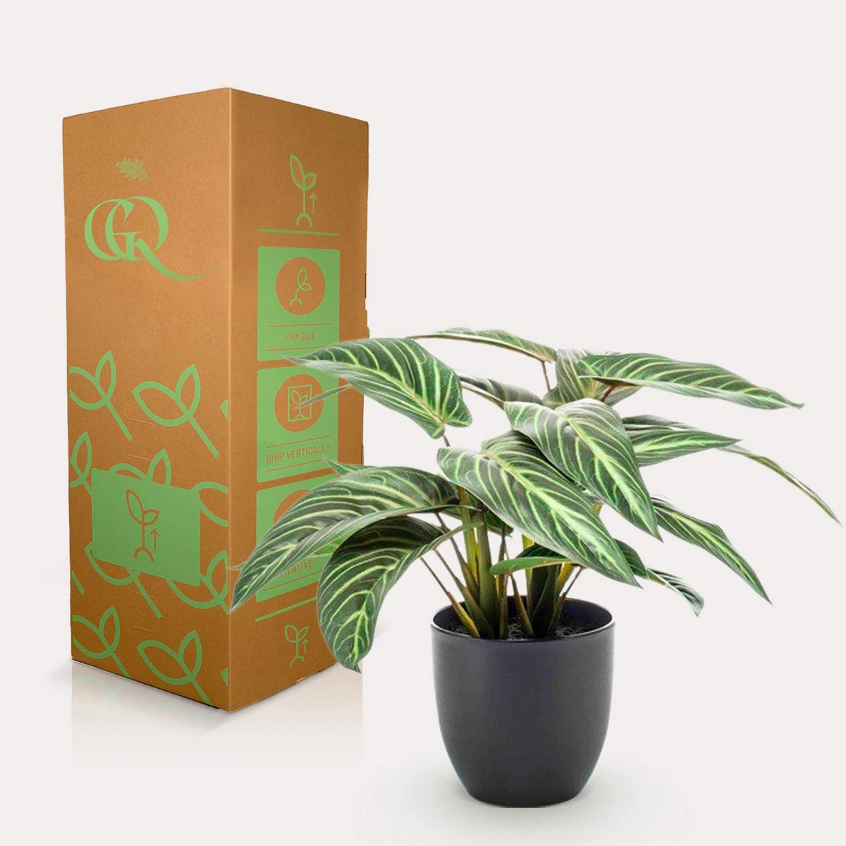 Kunstpflanze – Calathea Zebrina – Schattenpflanze – 38 cm von Green boutiQ
