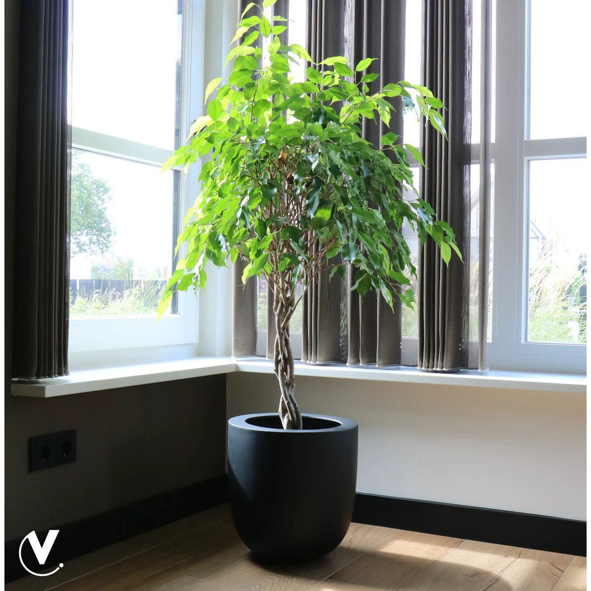 Plantenpot - Ducos big black by Vase The World