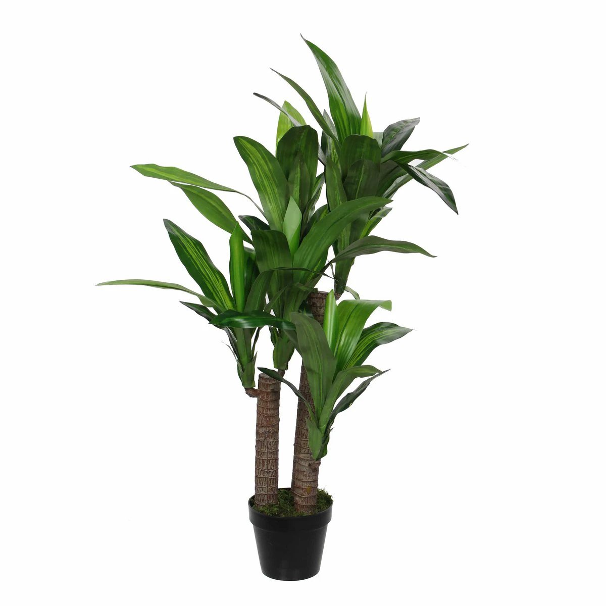 Artificial plant Dracaena Green by Mica Decorations