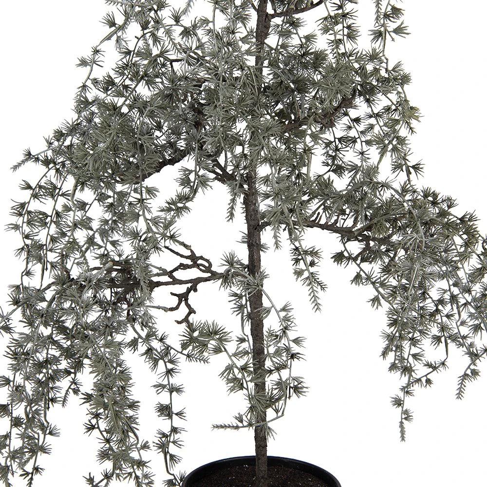 Artificial plant 40x40x85 cm Green Plastic by Clayre & Eef.