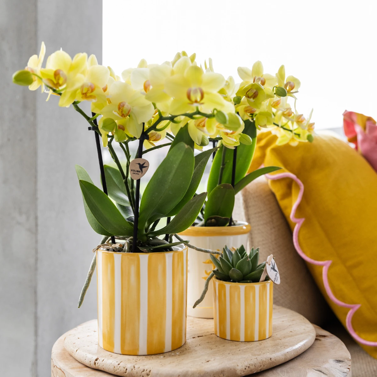Kolibri Home | Painted stripe - Yellow - Ø9cm by Kolibri Company