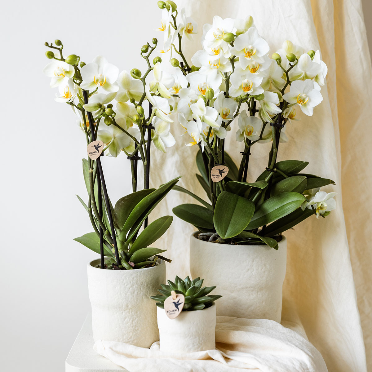 Kolibri Home | Rustic sierpot - White - Ø9cm by Kolibri Company