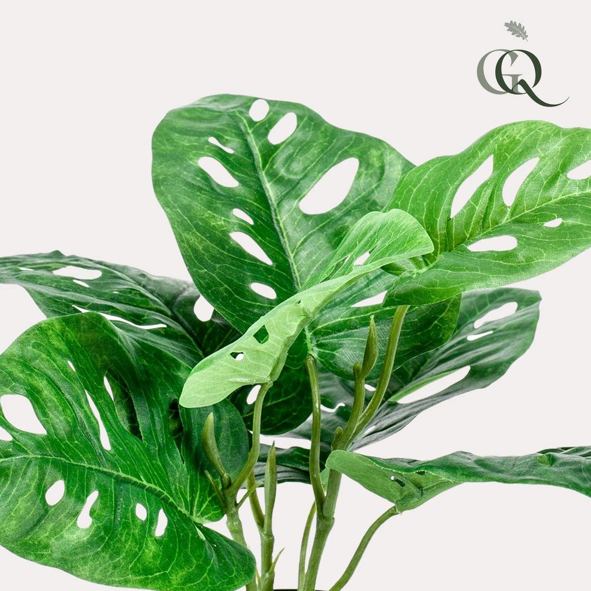 Artificial plants - Monstera Monkey - Hole plant - 29 cm by Green boutiQ