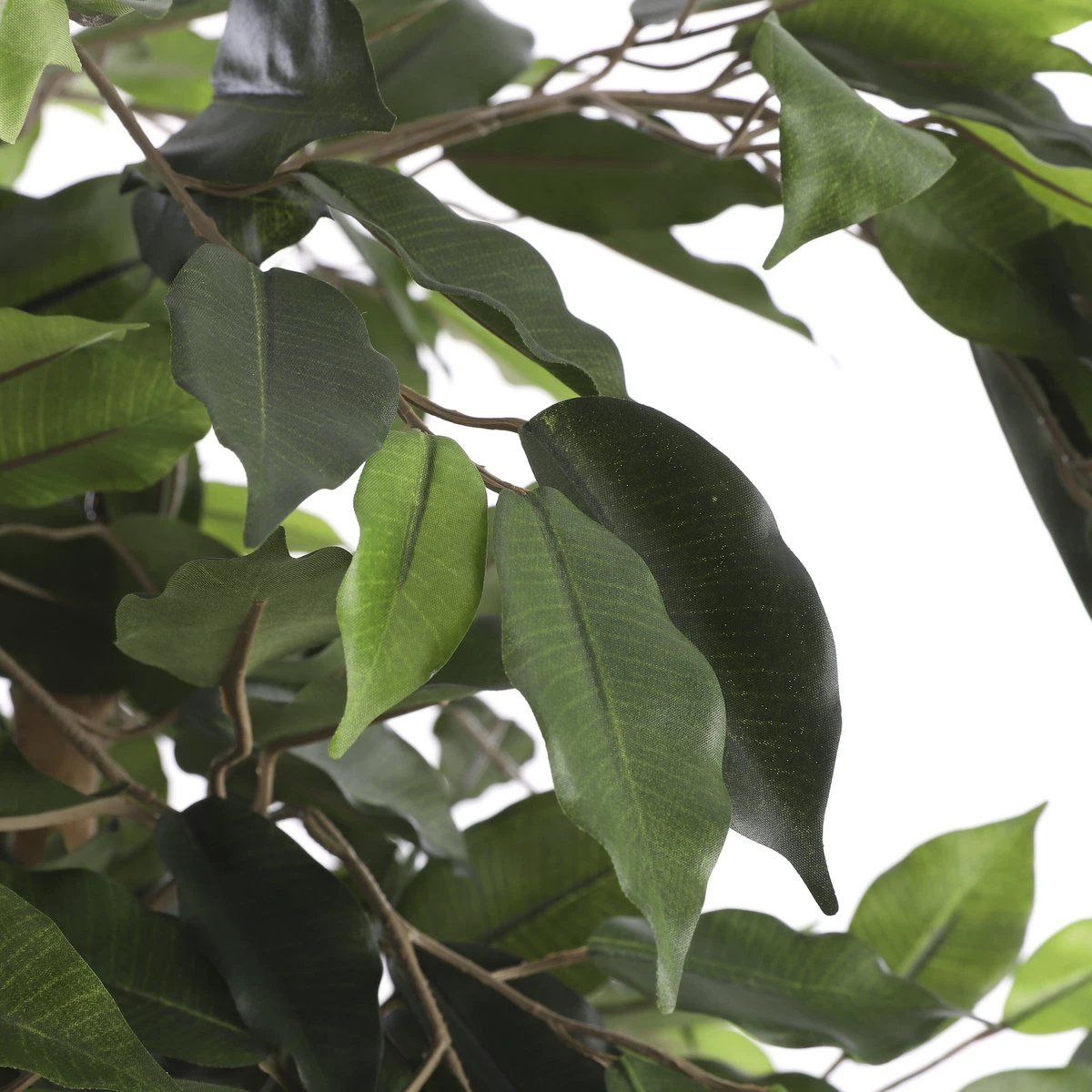 Artificial plant Ficus Green by Mica Decorations