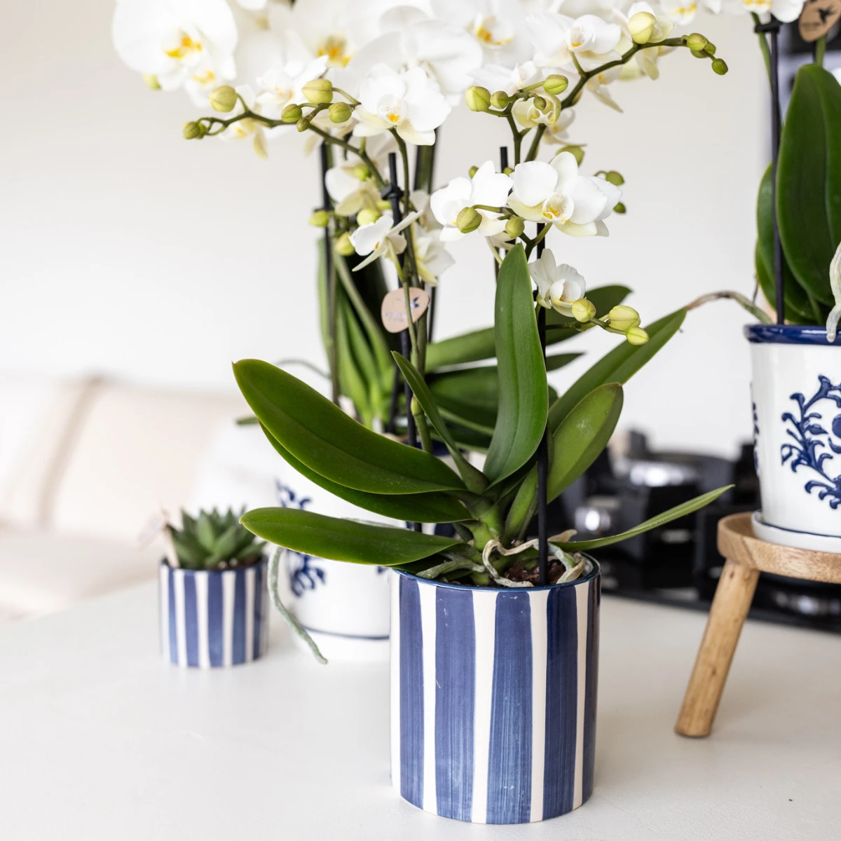 Hummingbird Home | Painted stripe - Blue - Ø9cm by Kolibri Company