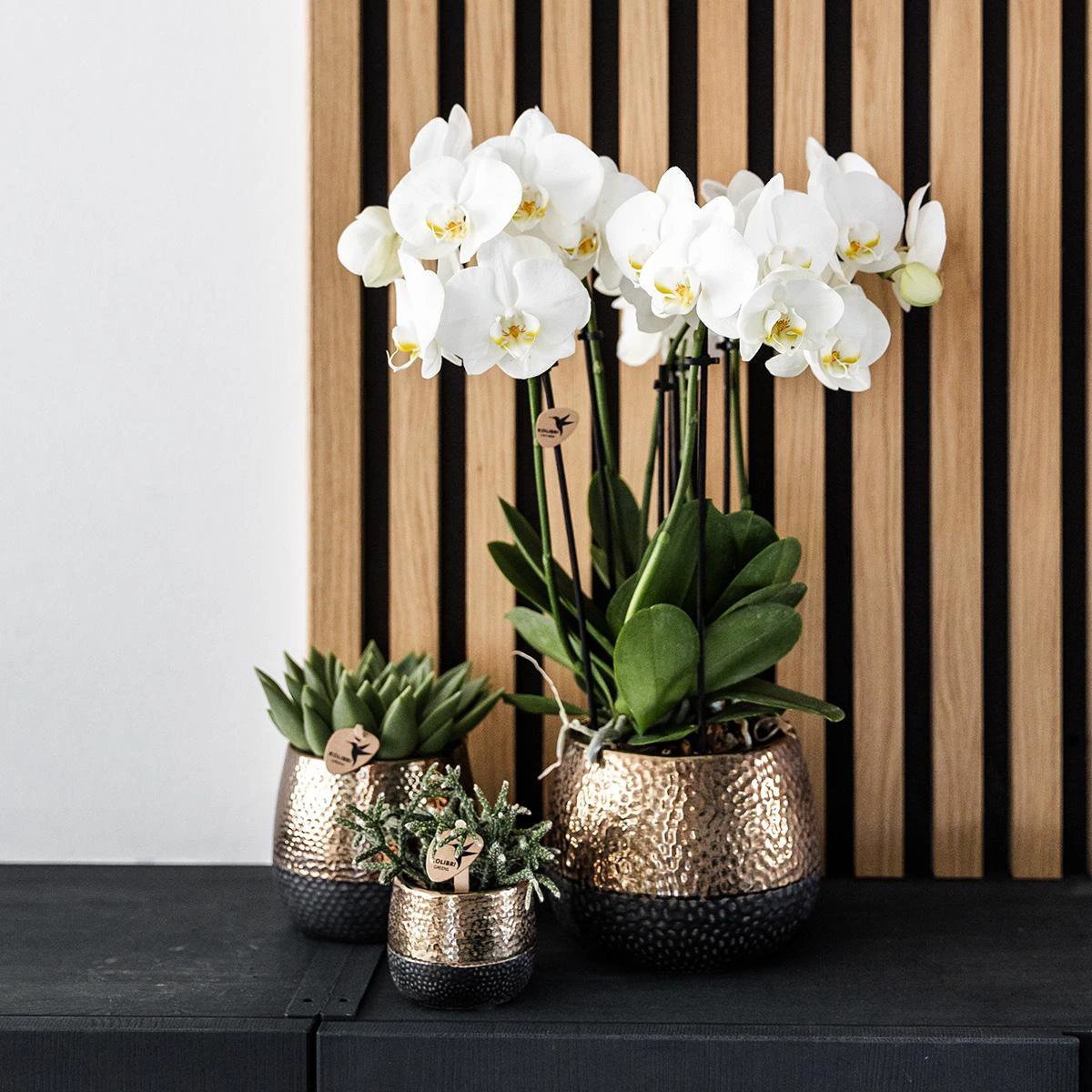 Hummingbird Home | Elite pot copper - Ø9cm by Kolibri Company