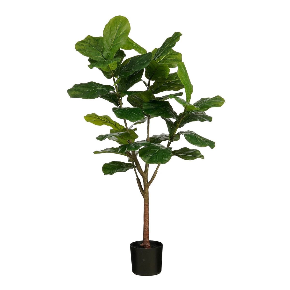 Artificial plant Ficus Green by Mica Decorations