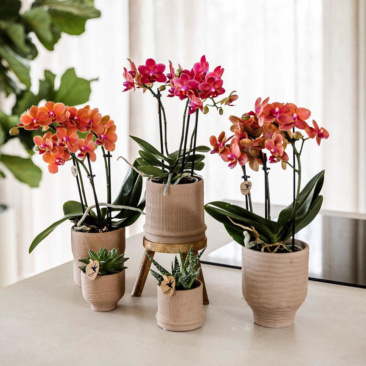 Kolibri Home | Bali sierpot - Sand - Ø9cm by Kolibri Company