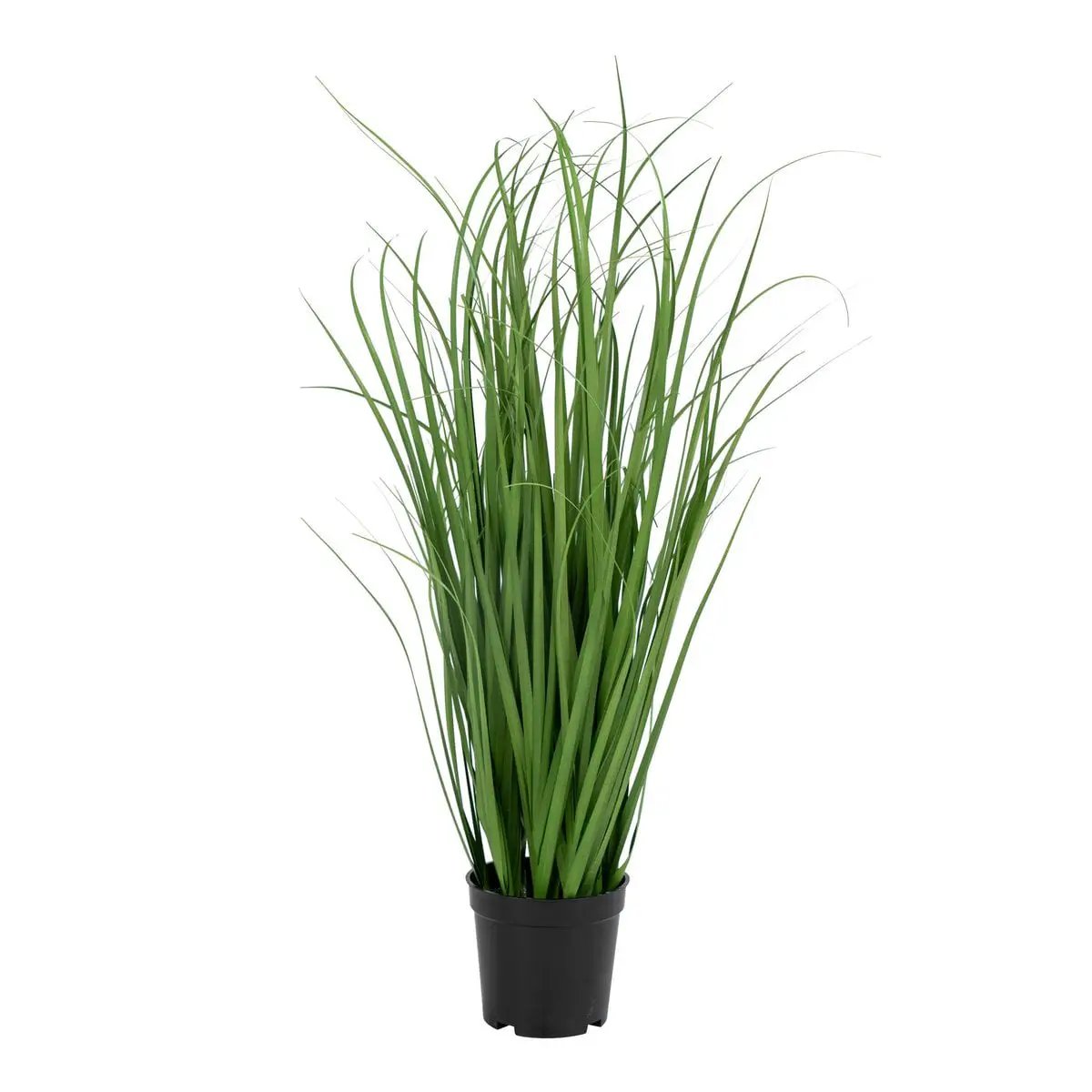 Poa Grass - Green, PE Plastic/Polyester, 30x30x68 cm by EMIRELLE