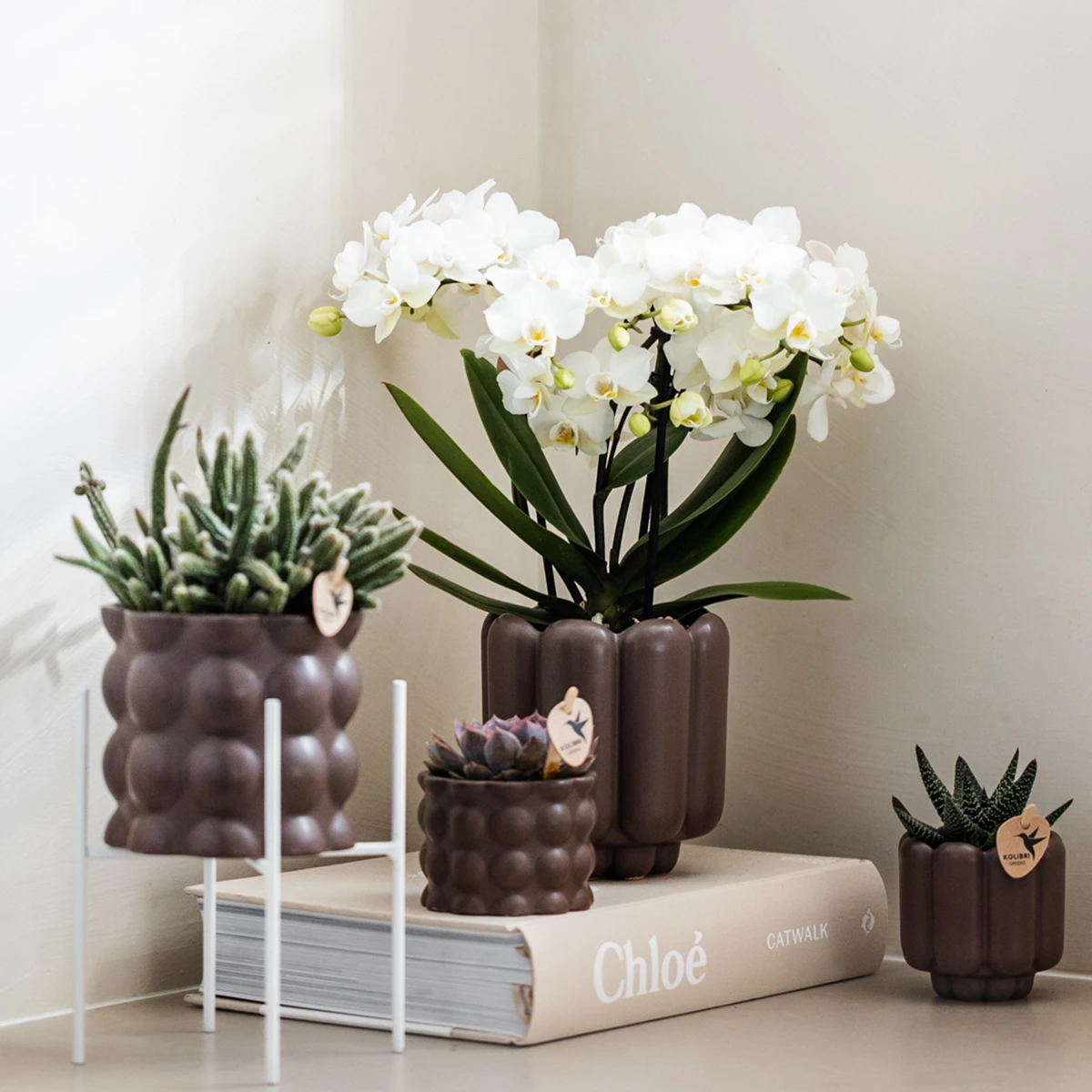 Kolibri Home | Retro Sierpot - Brown - Ø9cm by Kolibri Company