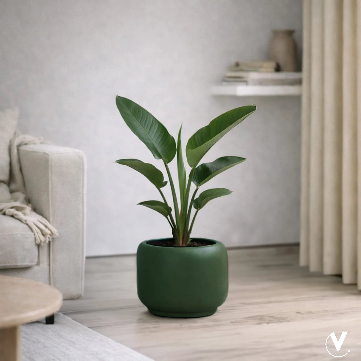 Plantenpot - Phuket green by Vase The World