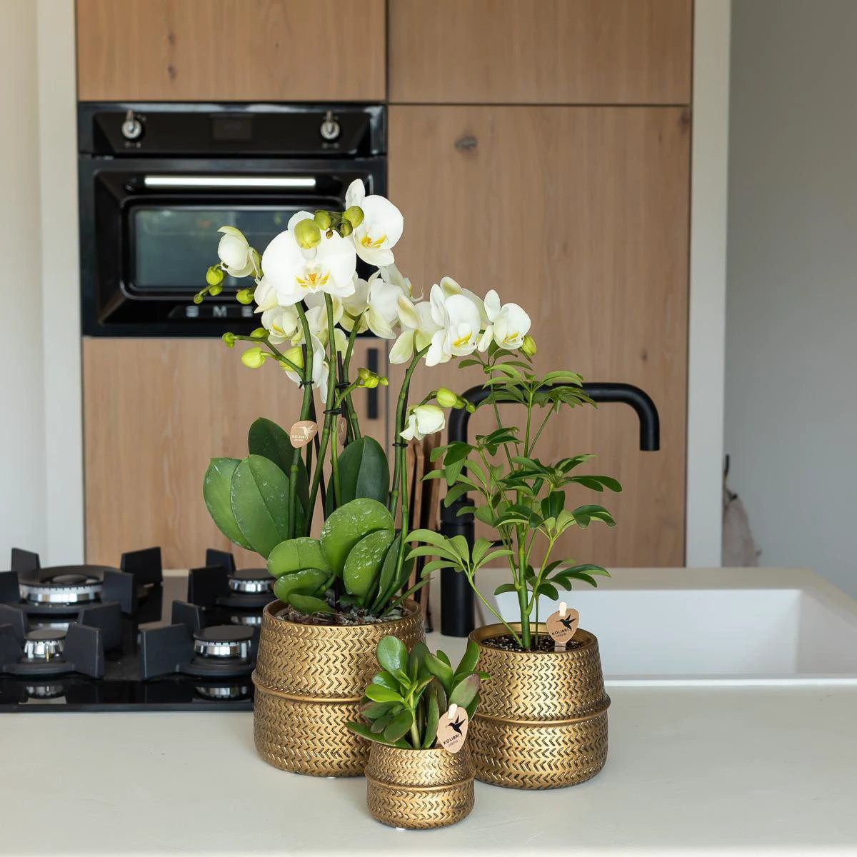 Hummingbird Home | Groove flower pot - Golden ceramic decorative pot - pot size - Ø9cm by Kolibri Company