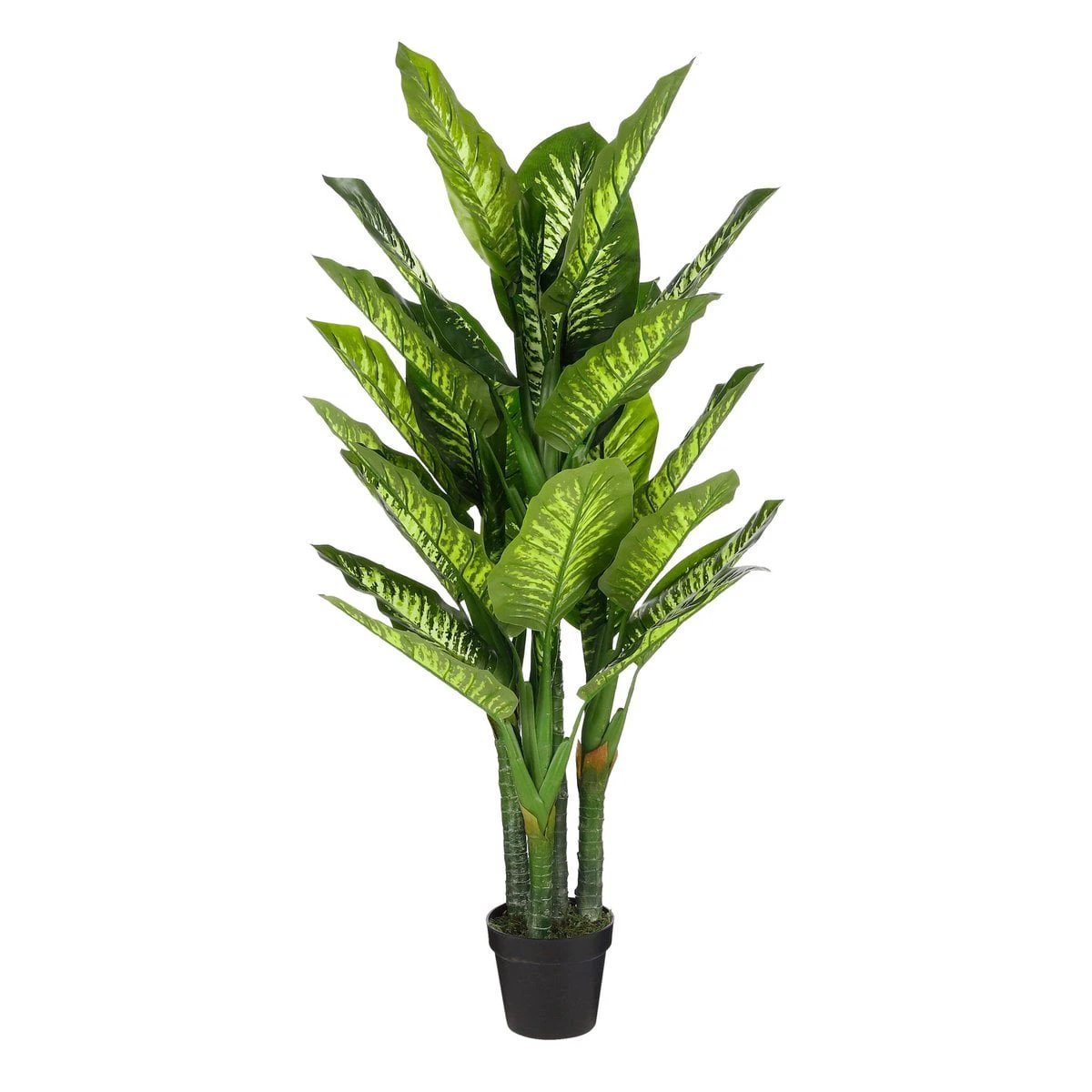 Artificial plant Dieffenbachia Green by Mica Decorations