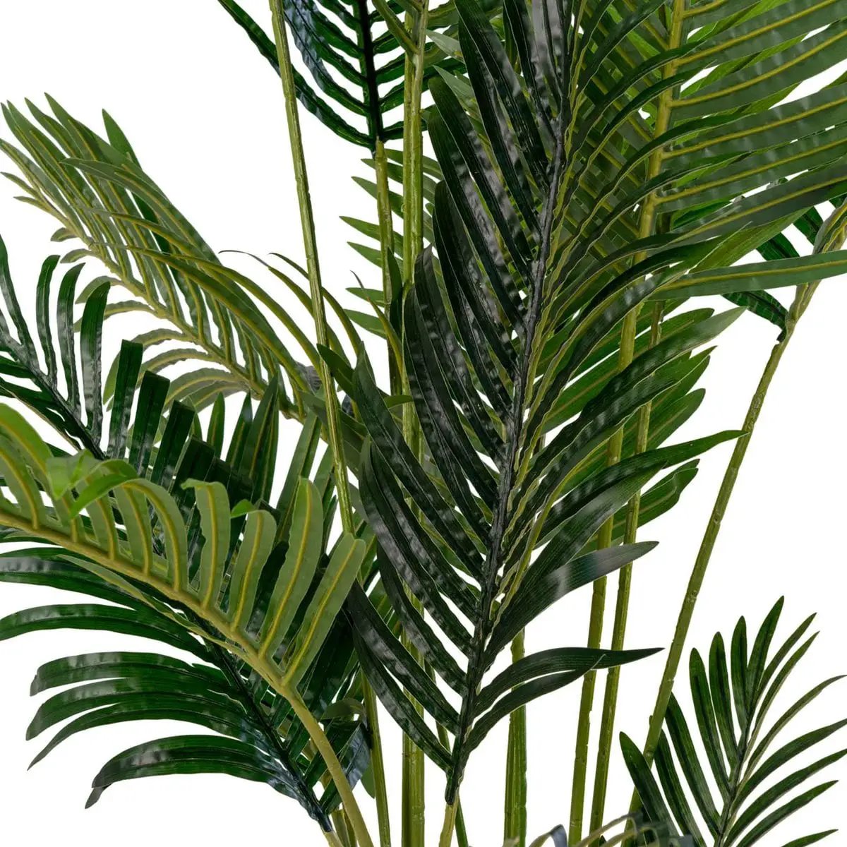 Areca Palm - Green, PE Plastic/Polyester, 64x64x175 cm by EMIRELLE