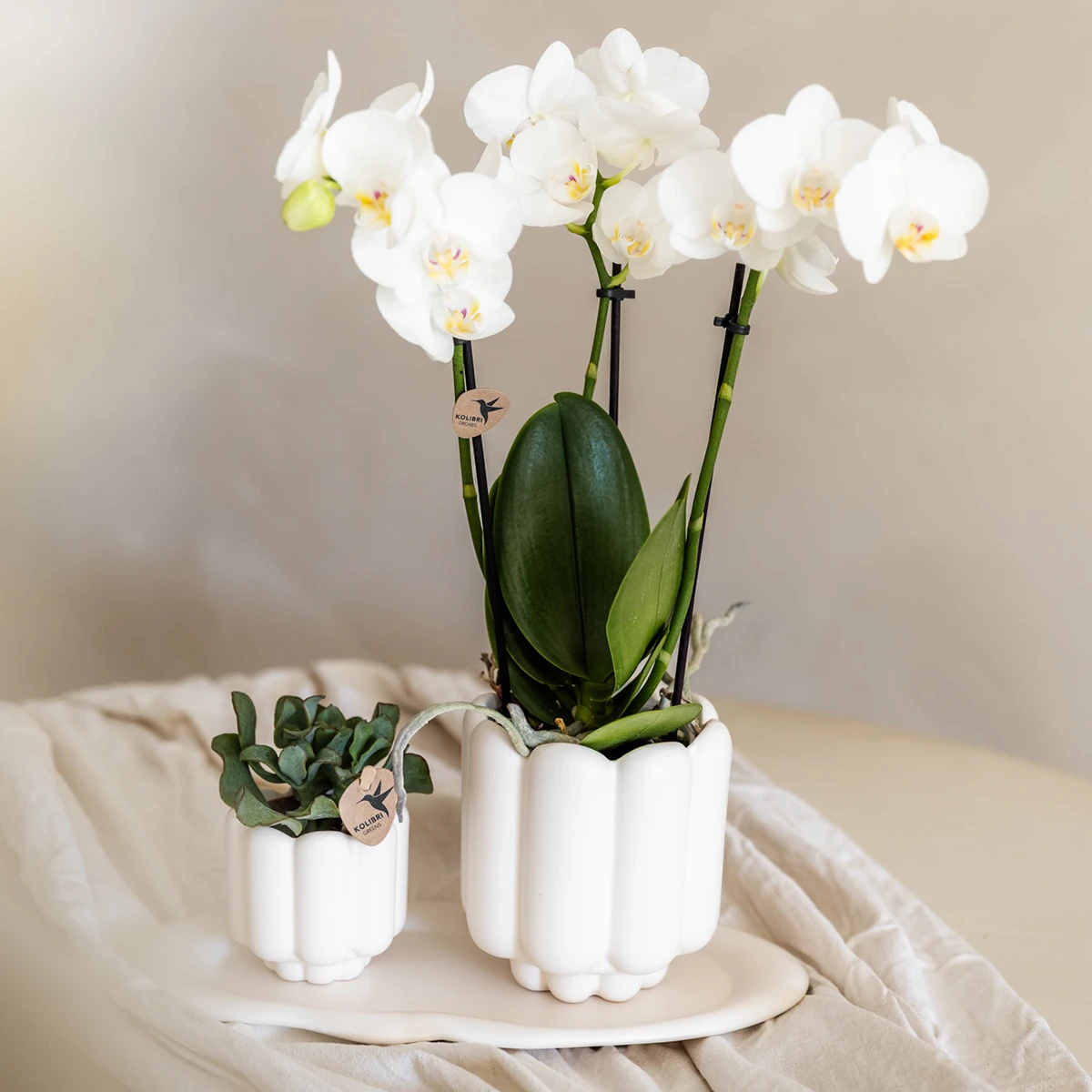 Kolibri Home | Retro sierpot - White - Ø9cm by Kolibri Company