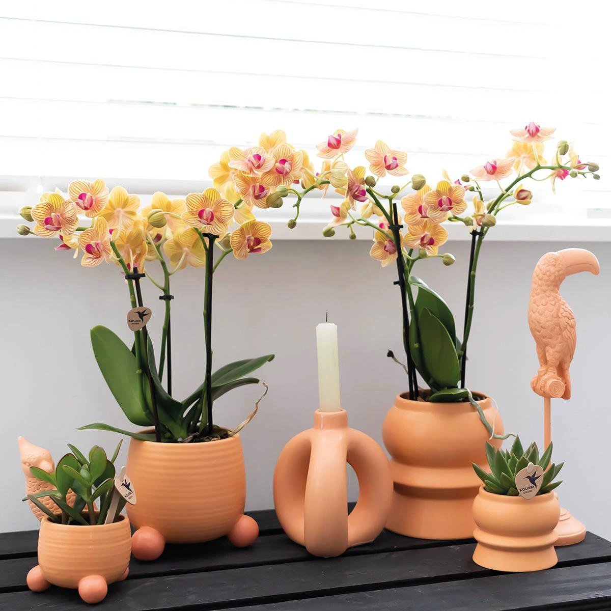 Hummingbird Home | Rolling peach flower pot - Peach colored ceramic decorative pot Ø6cm by Kolibri Company