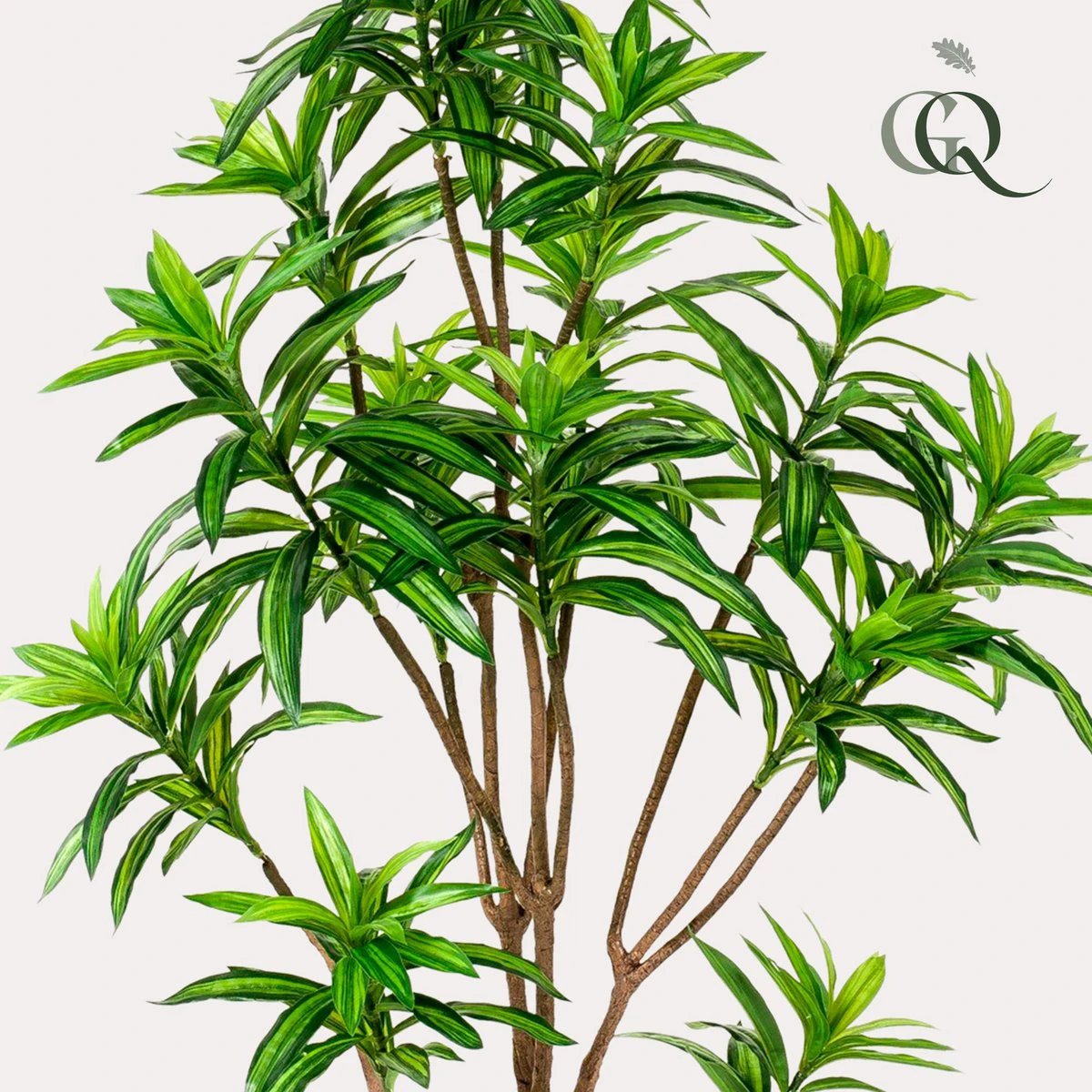 Artificial plant - Dracaena - Dragon tree - 155 cm by Green boutiQ