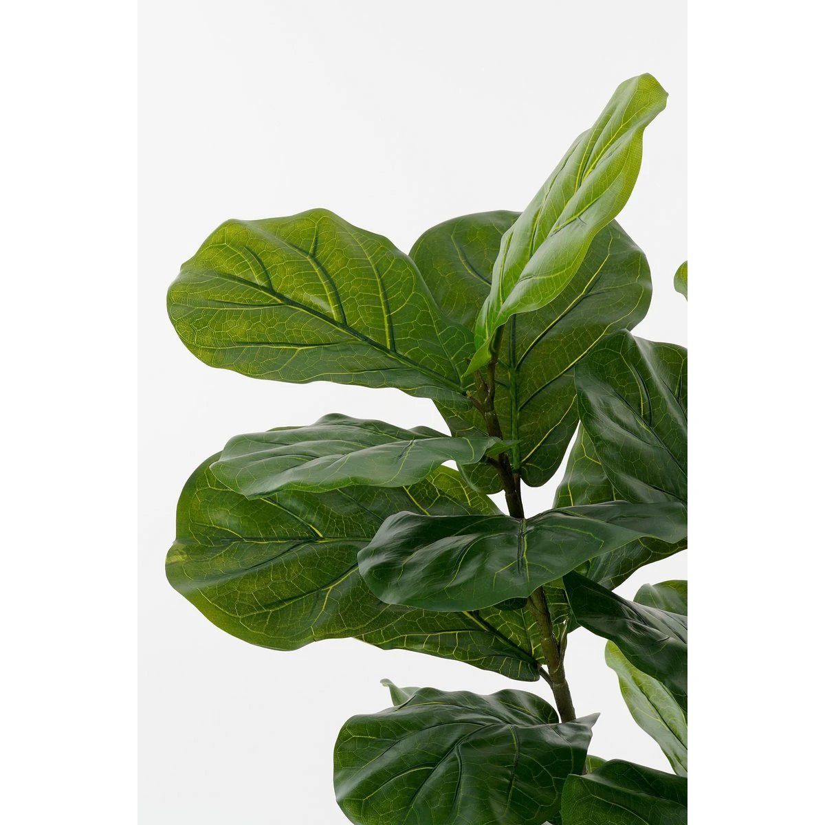 Artificial plant Ficus Green by Mica Decorations