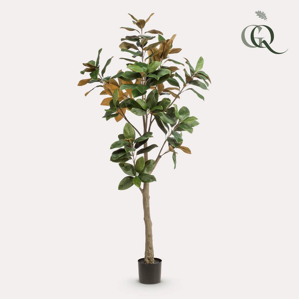 Artificial plant - Magnolia Grandiflora - 180 cm by Green boutiQ