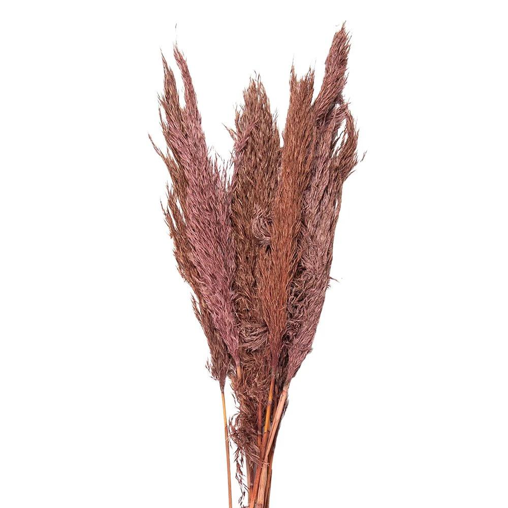 Getrocknete Blumen Bambus 100 cm (10) von Clayre & Eef.
