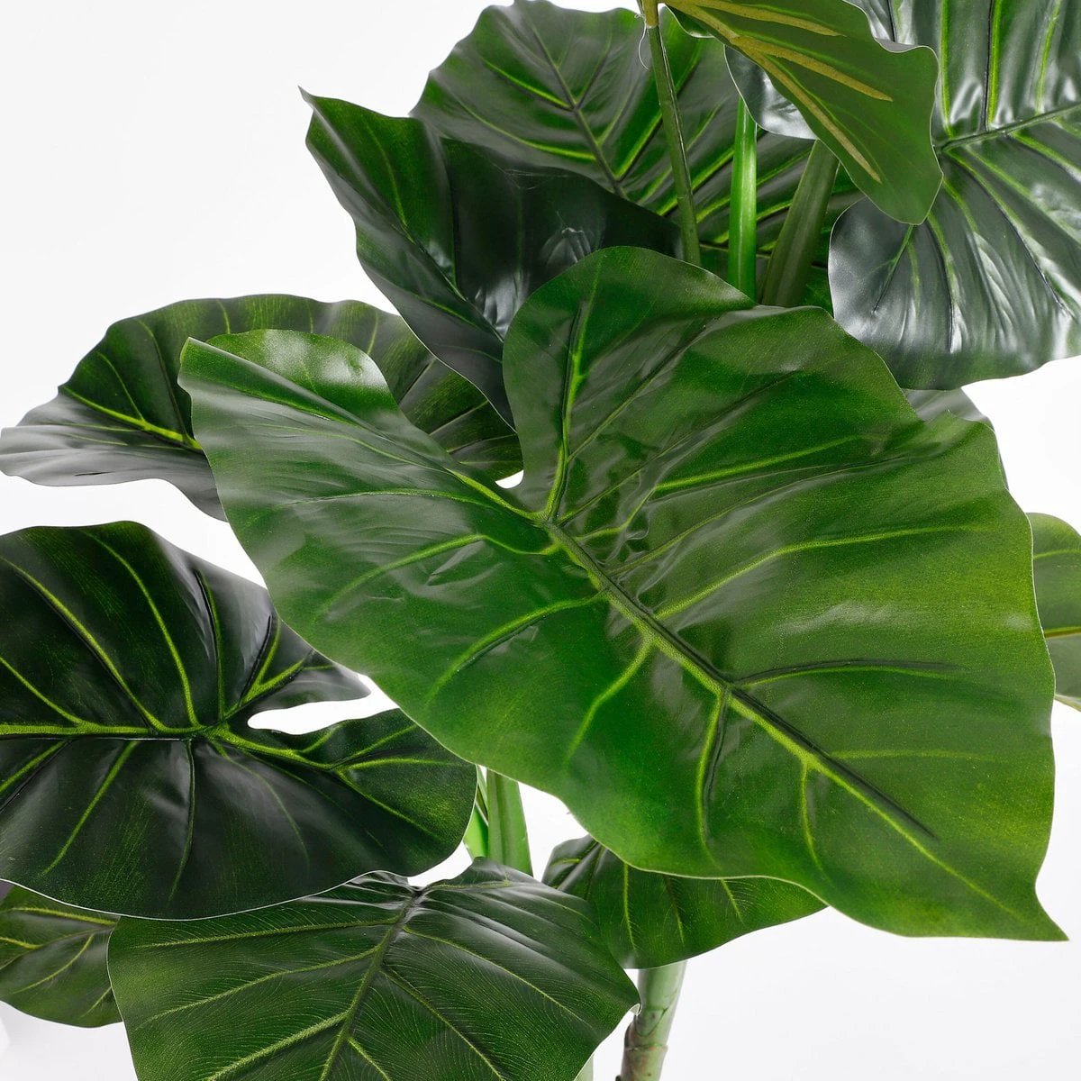 Artificial plant Taro Green by Mica Decorations