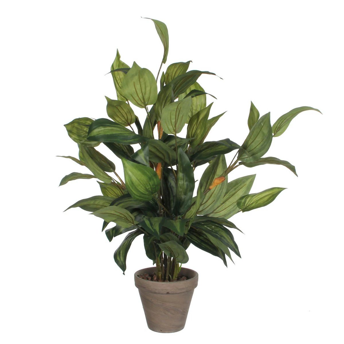 Artificial plant Hosta Green by Mica Decorations