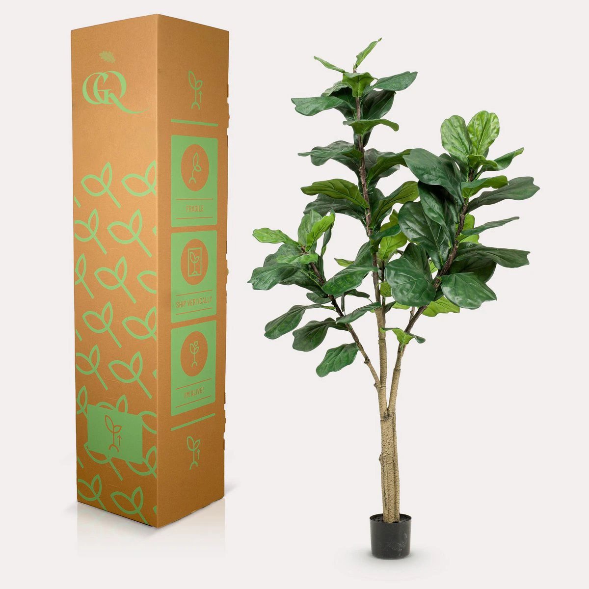 Art plant - Ficus Lyrata - Tobacco Plant - 180 cm by Green boutiQ
