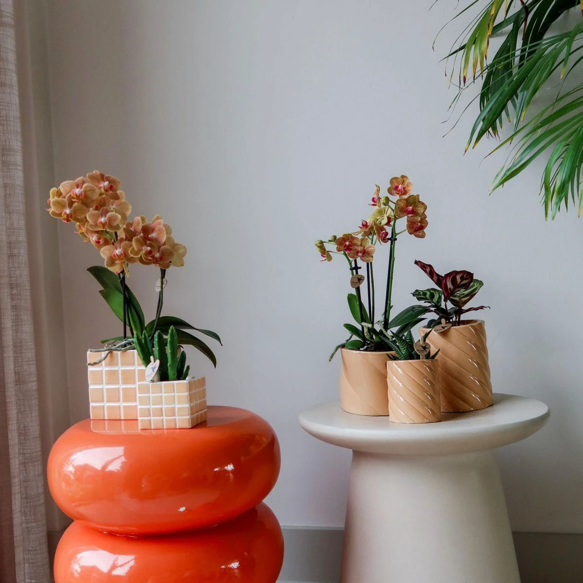 Hummingbird Home | Candy decorative pot - Peach - Ø9cm by Kolibri Company