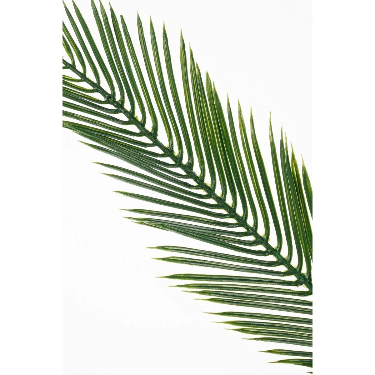 Artificial plant Cycas green by Mica Decorations