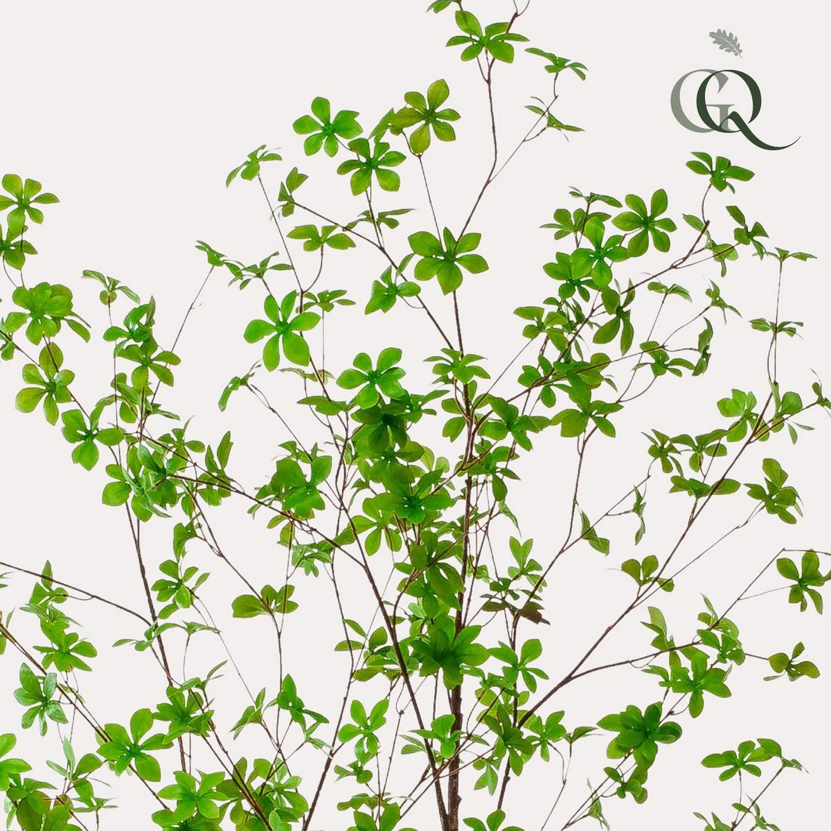 Kunstplant - Tropseolum - Oost Indistent - 210 cm by Green boutiQ