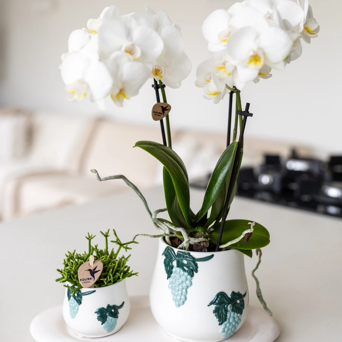 Kolibri Home I Grape pot - Blue - Ø6cm by Kolibri Company