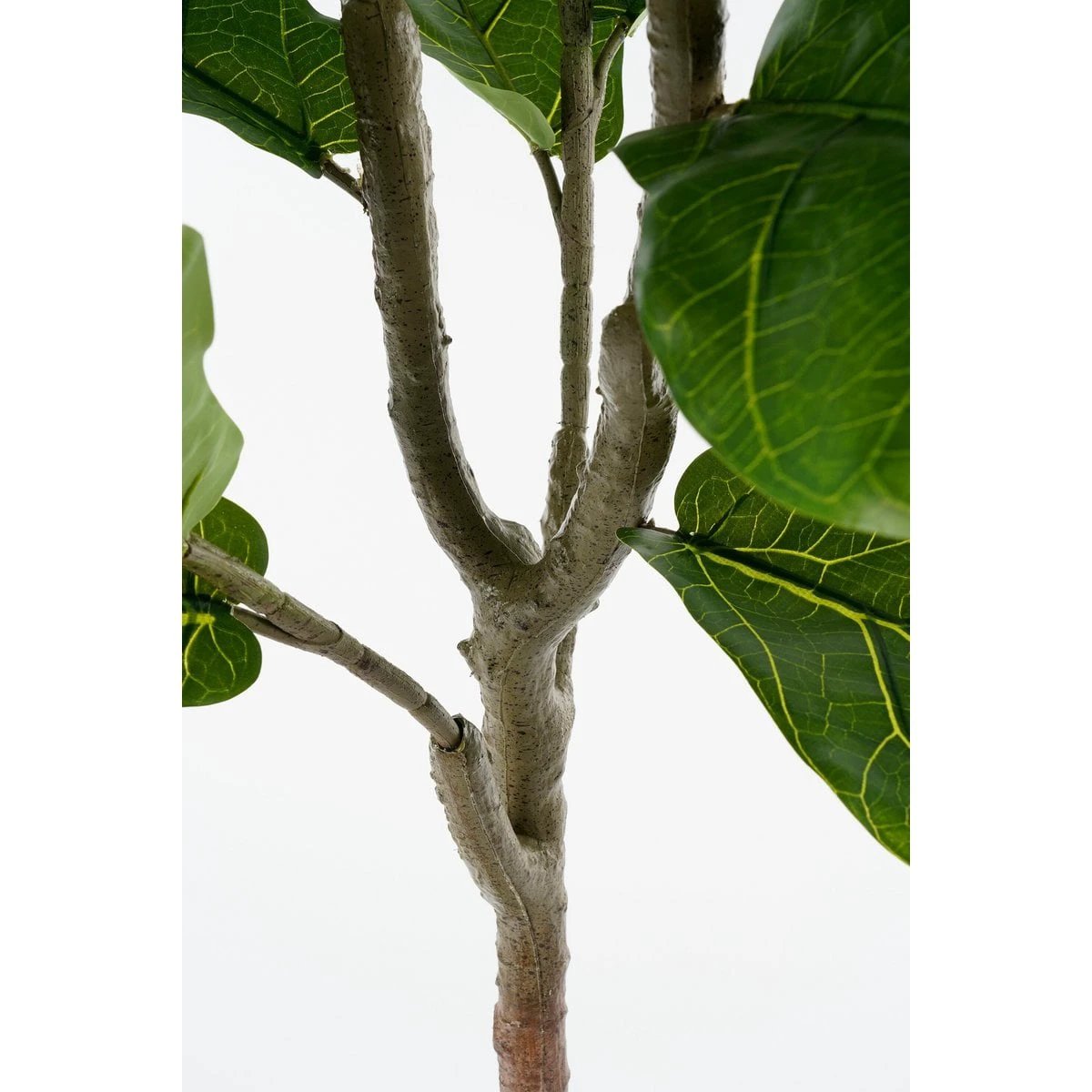 Artificial plant Ficus Green by Mica Decorations