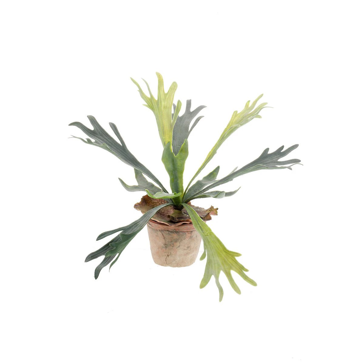 Kunstpflanze – Hirschgeweihfarn – Hirschgeweih – 33 cm von Green boutiQ