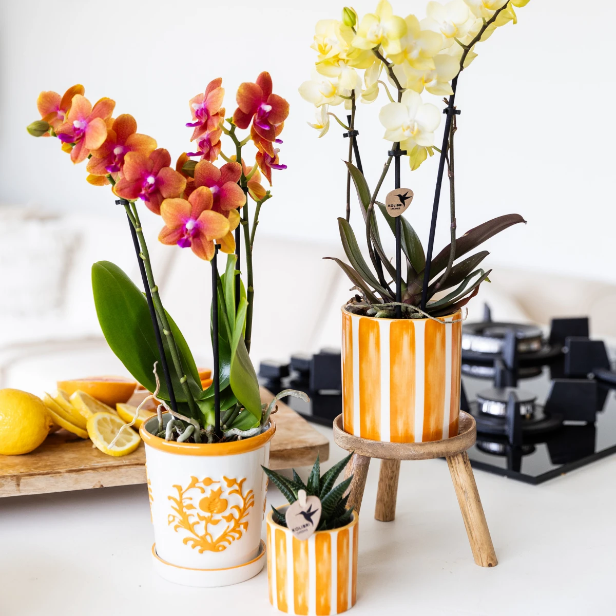 Kolibri Home I Malaga pot - Orange - Ø9cm by Kolibri Company