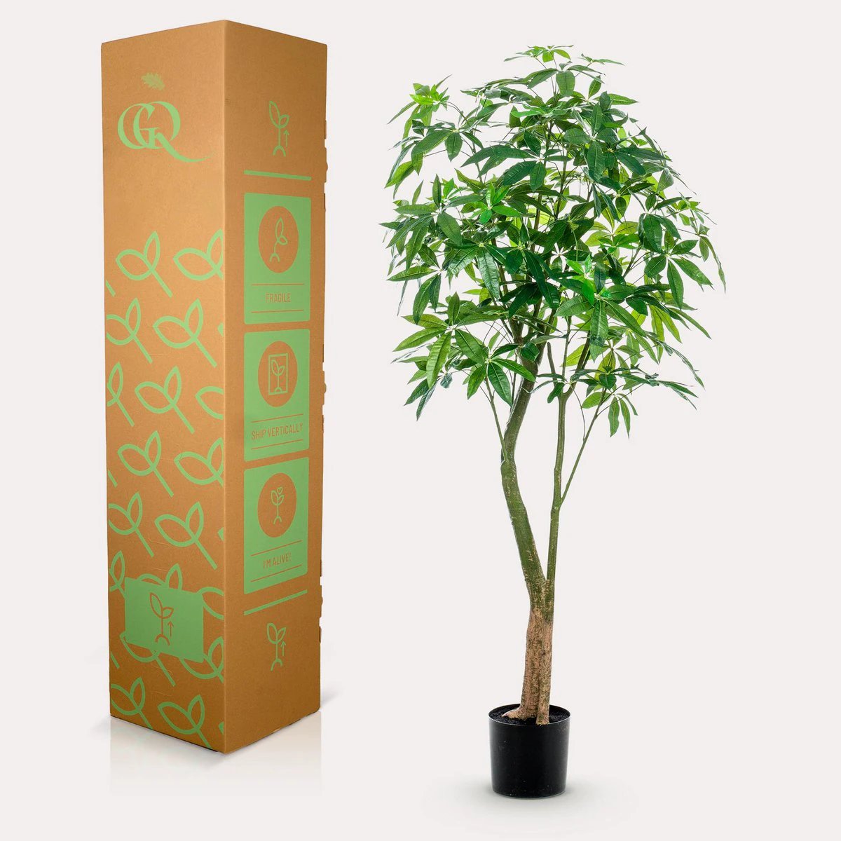 Artificial plant - Pachira Aquatica - Money tree - 180 cm by Green boutiQ