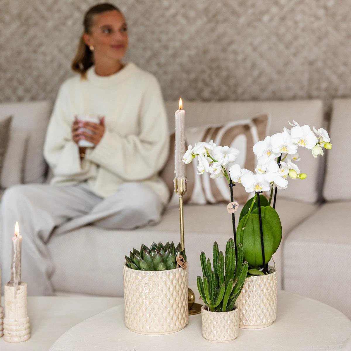 Kolibri Home | Diamond pearl sierpot - Travertine - Ø9cm by Kolibri Company
