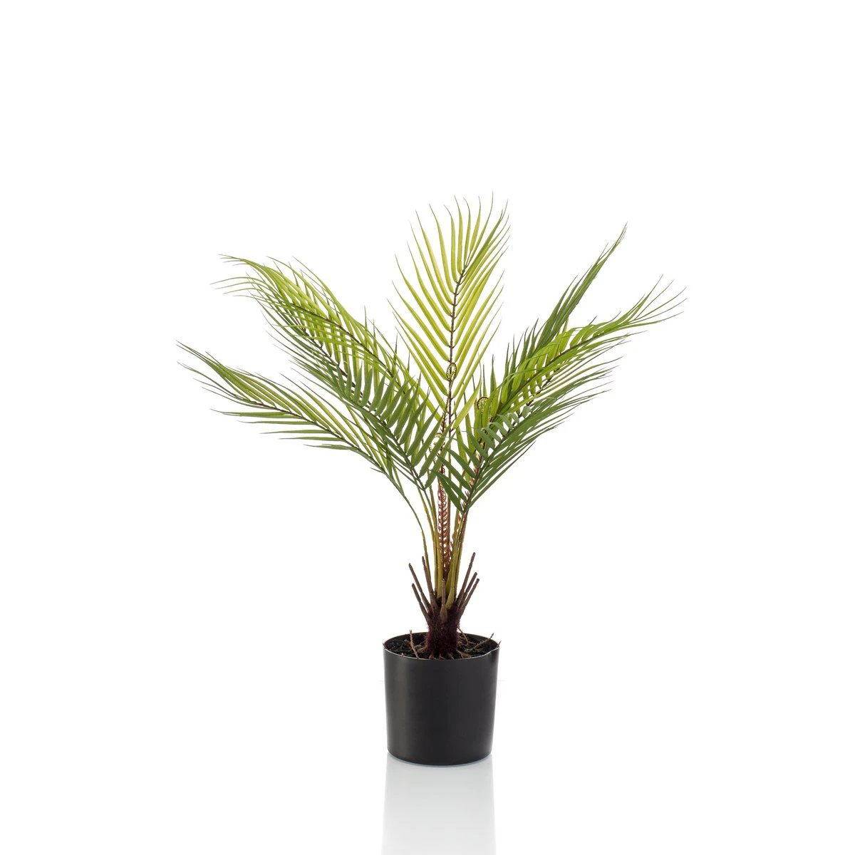 Art plant - Chamaedorea - Bergpalm - 50 cm by Green boutiQ