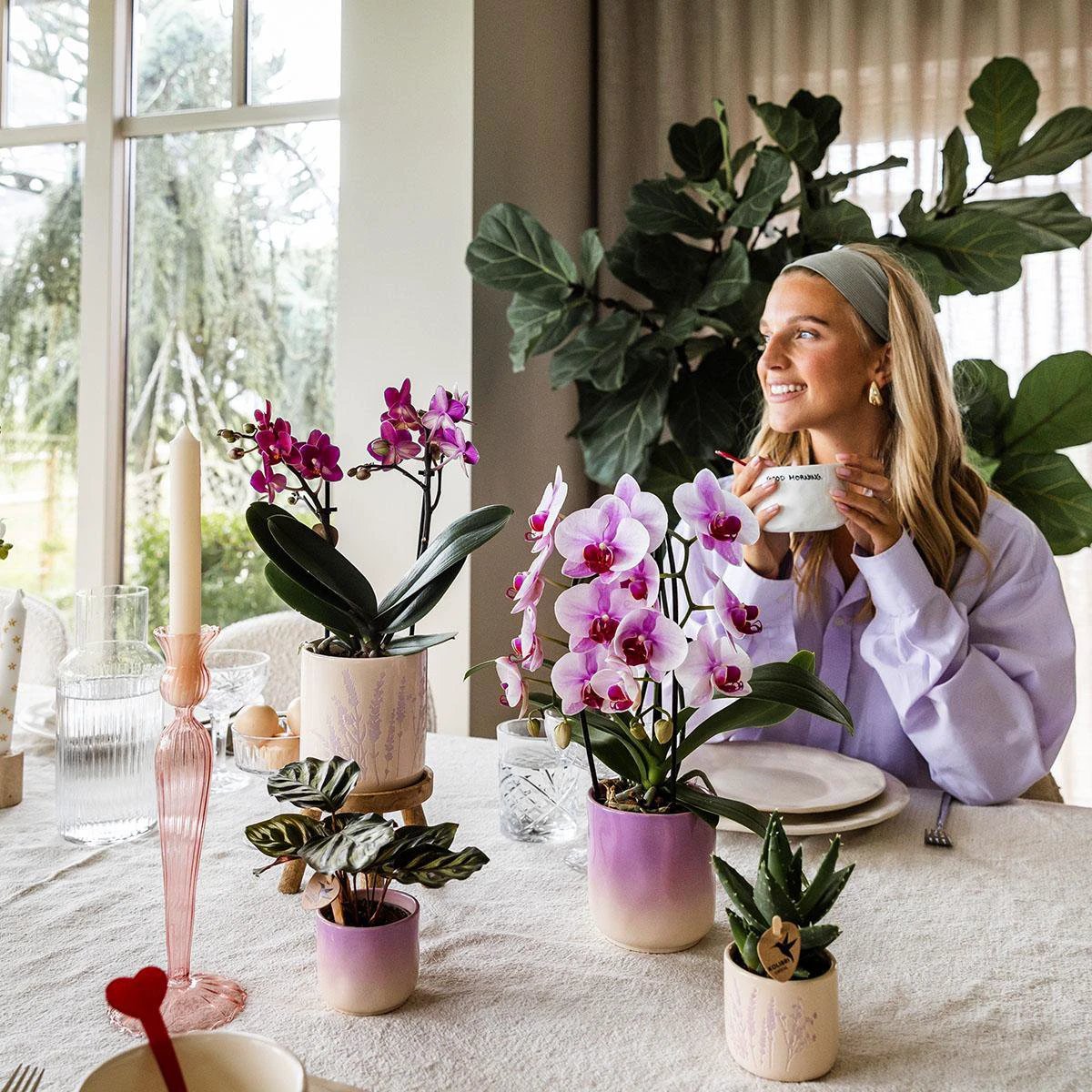 Kolibri Home | Gradience sierpot - Purple - Ø6cm by Kolibri Company