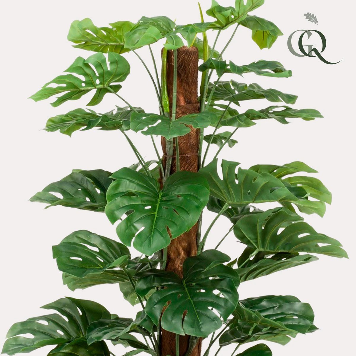 Monstera Deliciosa – Kunstpflanze – 180 cm von Green boutiQ