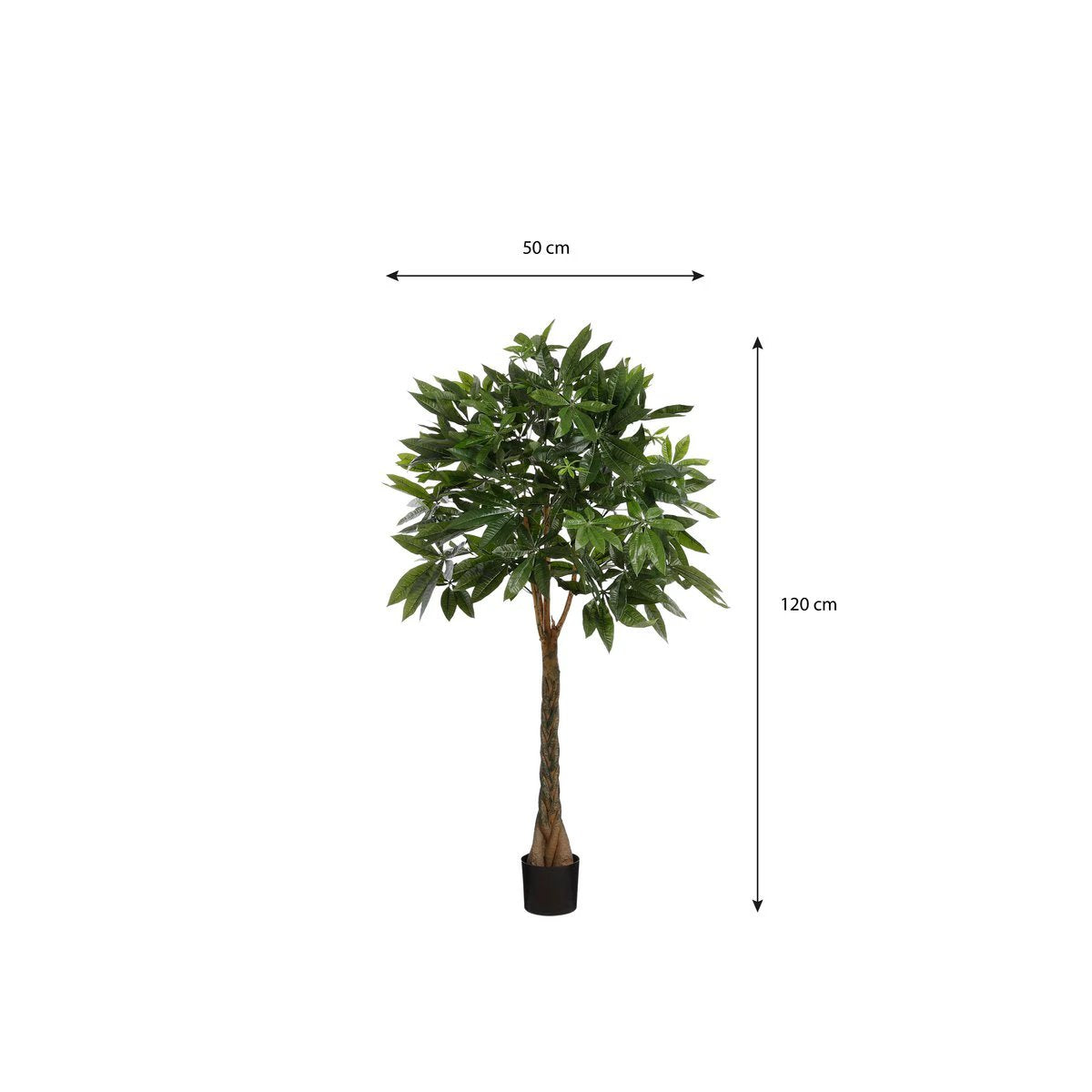 Artificial plant Pachira Green by Mica Decorations