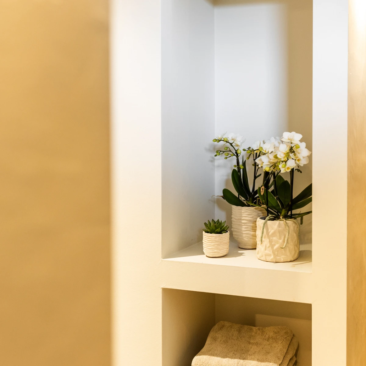 Kolibri Home | Star Fish sierpot - Off White - Ø9cm by Kolibri Company